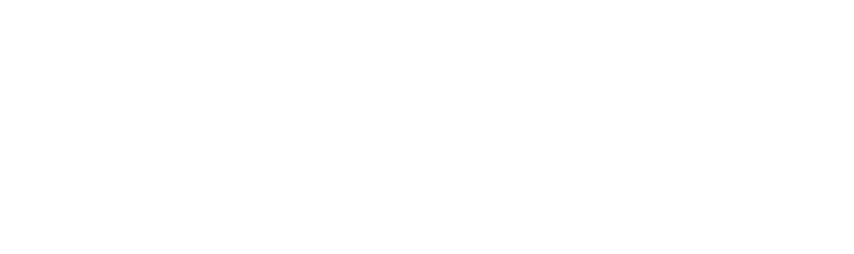 BlueShip